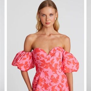 Amur Micaela Sweetheart Dress